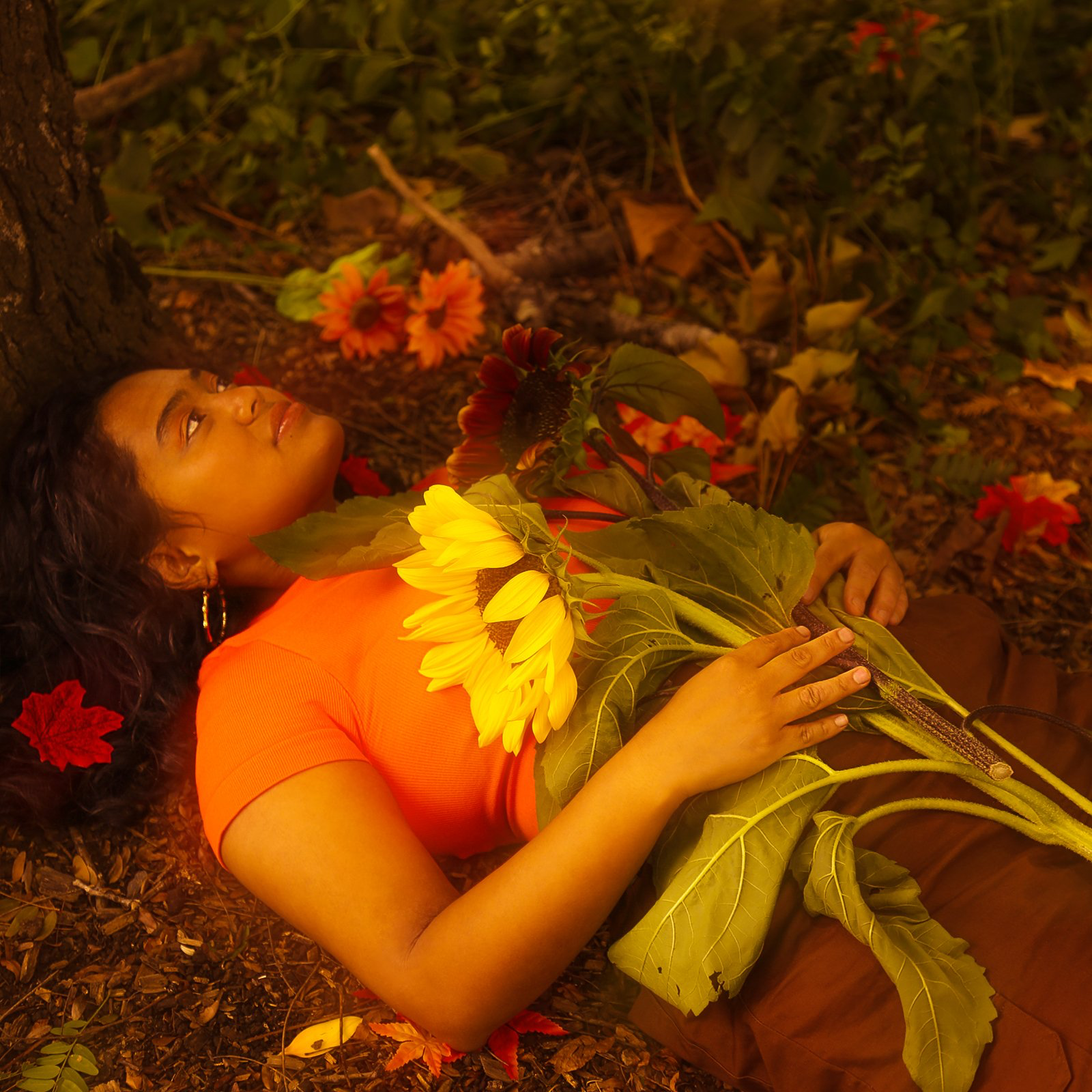 Autumn, Still – Madeleine De Leon