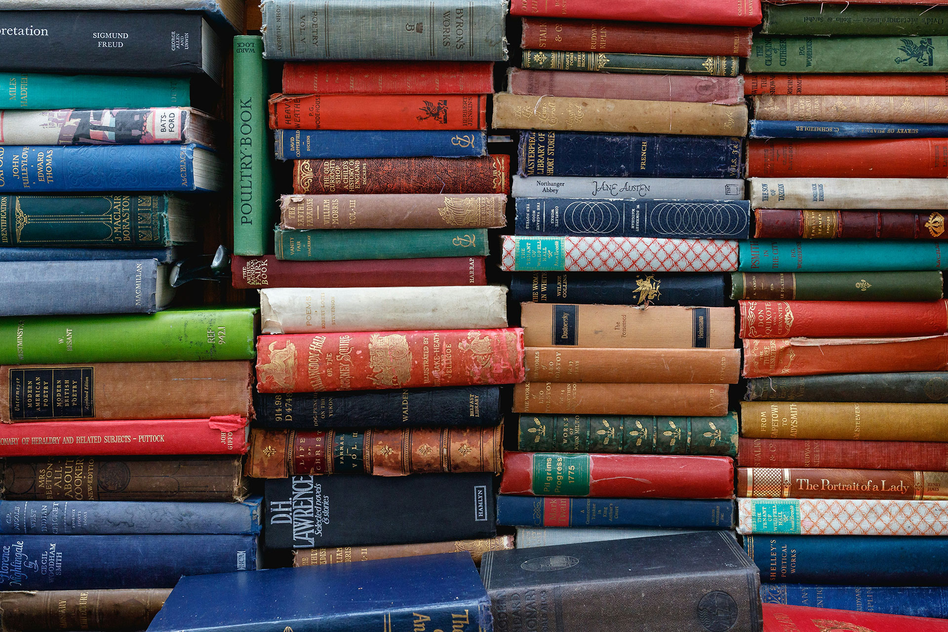 An Imaginary Library on Bringelly Road